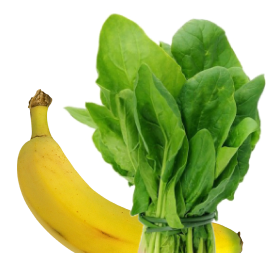 vegetable